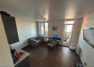 Продаю квартиру студию, 24.3 м2, деревня Новое Девяткино, ЖК Заречный Парк, Главная улица, 12