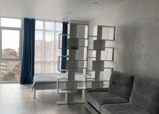 Продажа 1-ком. квартиры, 32.8 м2, Сочи, Виноградная улица, 206, микрорайон Мамайка