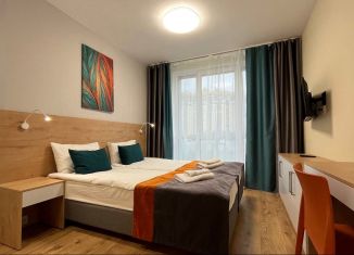 Квартира в аренду студия, 22.1 м2, посёлок Парголово, Толубеевский проезд, 8к2