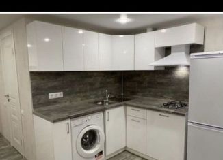 Аренда однокомнатной квартиры, 35 м2, Сочи, Крымская улица, 69А, микрорайон Мамайка