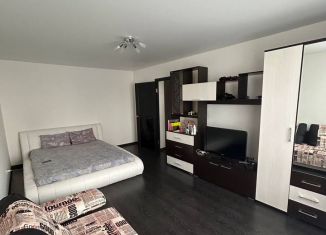 Сдам в аренду 1-ком. квартиру, 38 м2, Краснодар, Восточно-Кругликовская улица, 48/2, микрорайон Восточно-Кругликовский