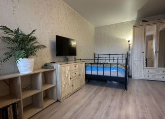 Продается однокомнатная квартира, 38.3 м2, Санкт-Петербург, улица Дмитрия Устинова, 6, метро Пролетарская