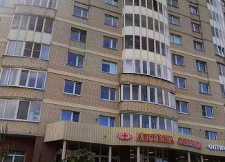 Продажа однокомнатной квартиры, 42 м2, Санкт-Петербург, Дачный проспект, 17к4, метро Проспект Ветеранов