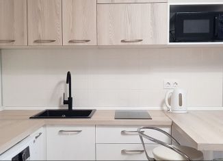 Квартира в аренду студия, 24 м2, Пермь, улица Космонавта Беляева, 9, Индустриальный район