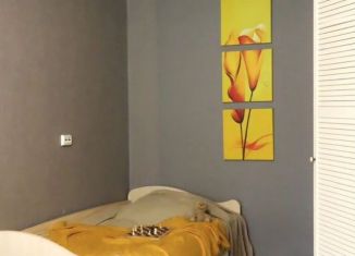 Продаю 1-ком. квартиру, 28.1 м2, Санкт-Петербург, проспект Космонавтов, 29к8, муниципальный округ Гагаринское