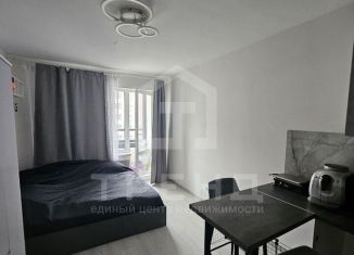 Продается квартира студия, 24.2 м2, Санкт-Петербург, Красносельский район, улица Генерала Кравченко, 3к1