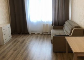 Квартира в аренду студия, 28 м2, посёлок Парголово, Заречная улица, 13к1