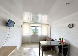 Продается квартира студия, 15.8 м2, Сочи, улица Чехова, 50, микрорайон Донская