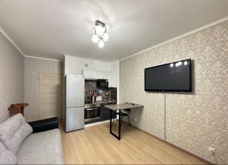 Сдаю в аренду квартиру студию, 22 м2, Санкт-Петербург, проспект Ветеранов, 169к3, Красносельский район