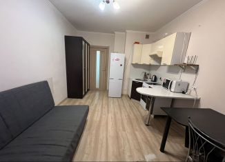 Аренда квартиры студии, 25 м2, Мурино, Петровский бульвар, 12к2