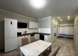 Сдаю в аренду однокомнатную квартиру, 45 м2, Пенза, проспект Победы, 97