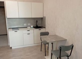 Сдача в аренду квартиры студии, 30 м2, Санкт-Петербург, Арцеуловская аллея, 9, Приморский район