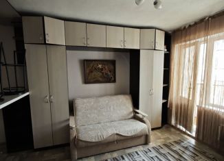 Сдаю квартиру студию, 40 м2, Новосибирск, Ленинский район, микрорайон Горский, 82