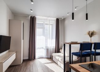 Продажа квартиры студии, 23.2 м2, Санкт-Петербург, Арцеуловская аллея, метро Комендантский проспект