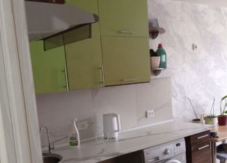 Сдаю в аренду 2-ком. квартиру, 60 м2, Новосибирск, Барьерная улица, 1, метро Площадь Маркса