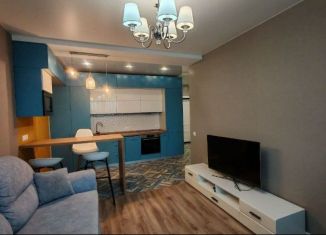 Сдача в аренду 1-ком. квартиры, 40.4 м2, Краснодар, Колхозная улица, 5, микрорайон Табачная Фабрика