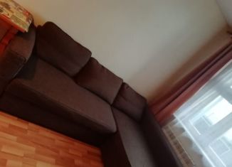 Сдам квартиру студию, 27 м2, Новосибирск, Рябиновая улица, 10/1, метро Золотая Нива