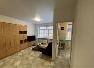 Однокомнатная квартира в аренду, 30 м2, Волхов, Молодёжная улица, 10