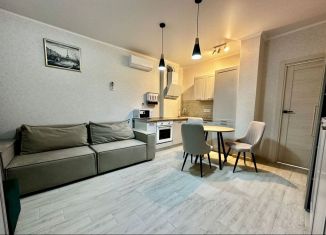 Продается квартира студия, 25 м2, Ростов-на-Дону, проспект Ленина, 46/2