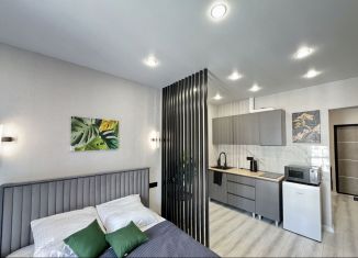 Сдаю в аренду квартиру студию, 25 м2, Сочи, улица Искры, 88к6