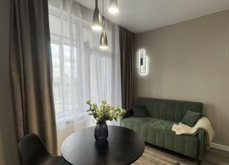 Продам 1-ком. квартиру, 33.9 м2, Санкт-Петербург, Красносельский район, проспект Ветеранов, 133к1