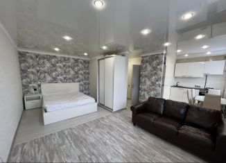 Продается однокомнатная квартира, 34.5 м2, Екатеринбург, Ферганская улица, 3, метро Ботаническая