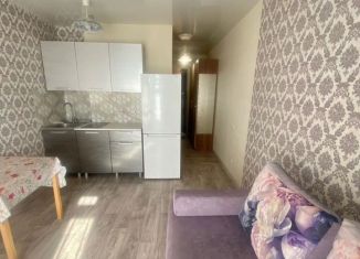 Сдаю в аренду квартиру студию, 20 м2, Новосибирск, улица Виктора Уса, 15, метро Площадь Маркса