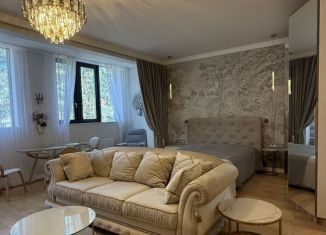 Продажа квартиры студии, 55 м2, Сестрорецк, улица Максима Горького, 2к1