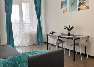 Продам квартиру студию, 25.3 м2, Санкт-Петербург, 1-й Предпортовый проезд, 13, метро Звёздная