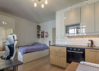 Продается квартира студия, 24.3 м2, Санкт-Петербург, Арцеуловская аллея, 23к1, метро Комендантский проспект