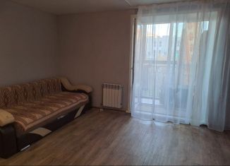 Сдается квартира студия, 24 м2, Новосибирск, микрорайон Стрижи, 1, Заельцовский район