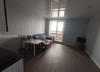 Аренда квартиры студии, 29.4 м2, Новосибирск, улица Немировича-Данченко, 167/1, метро Площадь Маркса
