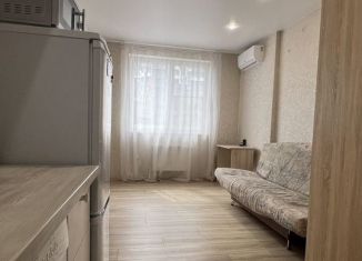 Квартира в аренду студия, 20 м2, Краснодар, улица Кирилла Россинского, 3/1, Прикубанский округ