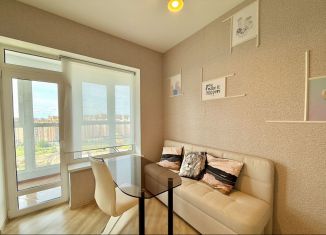 Продается квартира студия, 25.5 м2, Кудрово, Европейский проспект, 21к1