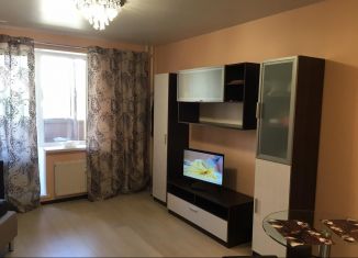Аренда квартиры студии, 27 м2, Мурино, Привокзальная площадь, 1Ак2
