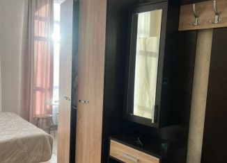 Аренда квартиры студии, 25 м2, Сочи, Полтавская улица, 32/14, микрорайон Мамайка