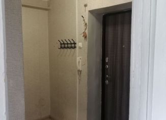 Продается однокомнатная квартира, 28.2 м2, Нижегородская область, улица Пушкина, 18