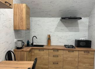 Сдам 2-комнатную квартиру, 50 м2, Сочи, Демократическая улица, 102А