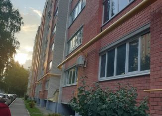 Сдаю в аренду 1-ком. квартиру, 40 м2, Йошкар-Ола, улица Димитрова, 59А, 5-й микрорайон