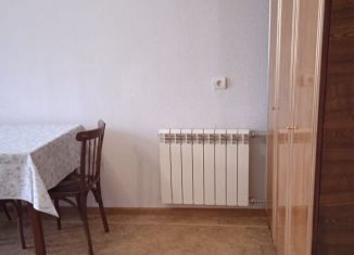 Сдаю однокомнатную квартиру, 29 м2, Нижний Новгород, улица Панфиловцев, 13