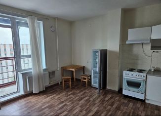 Однокомнатная квартира в аренду, 55 м2, Новосибирск, улица Петухова, 16/4, метро Площадь Маркса