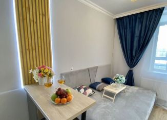 Сдается в аренду квартира студия, 20 м2, Свердловская область, улица Лётчиков, 7