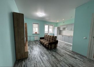 Продается квартира студия, 32 м2, Нижегородская область, улица Студгородок, 24