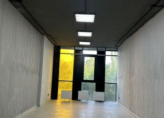 Сдам в аренду офис, 45 м2, Воронежская область, улица Лётчика Колесниченко, 65А