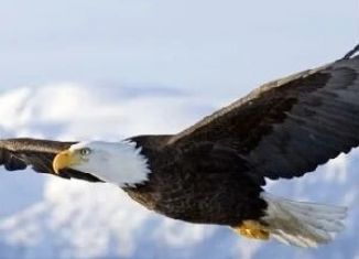 Гараж на продажу, 30 м2, Муром