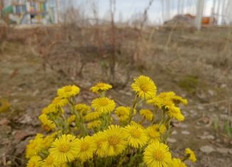 Продаю земельный участок, 1 сот., Тюмень, Салаирский тракт, 11-й километр, Центральный округ