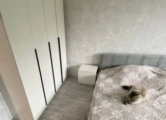 Сдам 1-ком. квартиру, 30.4 м2, Томская область, улица Карташова, 31В