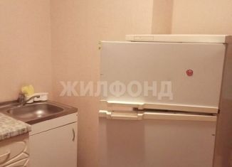 Сдача в аренду однокомнатной квартиры, 30 м2, Новосибирск, улица Петухова, 99, метро Площадь Маркса