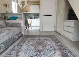 Сдаю дом, 40 м2, село Элекмонар, Родничная улица, 71