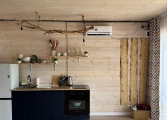 Сдам дом, 30 м2, село Чемал, Сосновая улица, 12